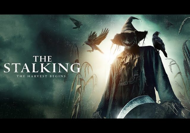 The Stalking (2024): When the Stalker Comes from Beyond – Wearing the Face of a Sunflower