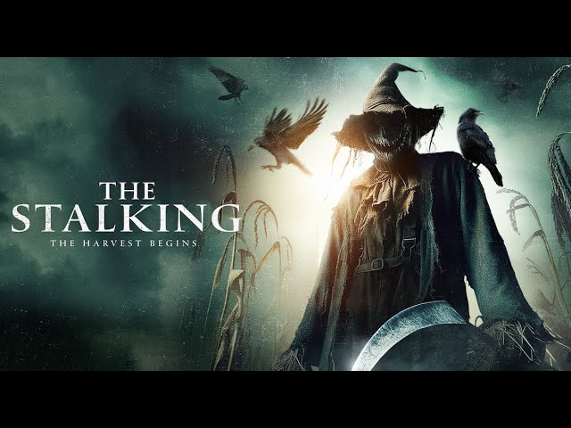 The Stalking (2024): When the Stalker Comes from Beyond – Wearing the Face of a Sunflower